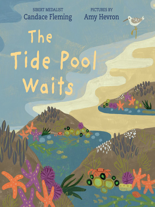 Title details for The Tide Pool Waits by Candace Fleming - Wait list